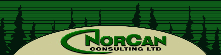 Norcan Consulting Ltd